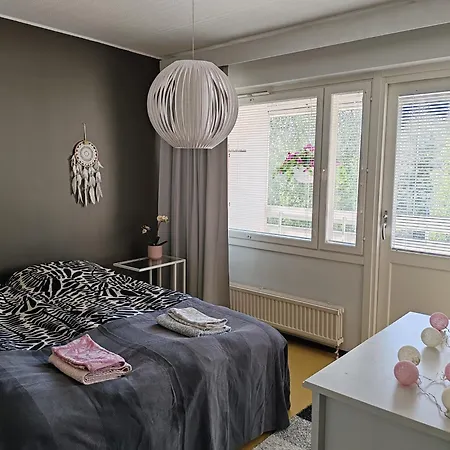 Kotoisa Kaksio Maennistoessae *