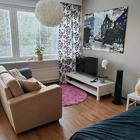 Kotoisa Kaksio Maennistoessae Kuopio