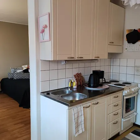 Kotoisa Kaksio Maennistoessae Kuopio