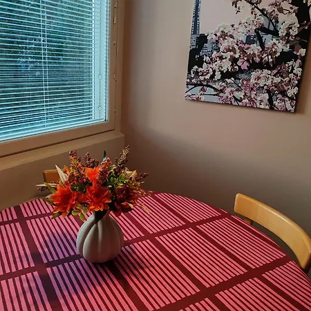 Kotoisa Kaksio Maennistoessae Apartman *