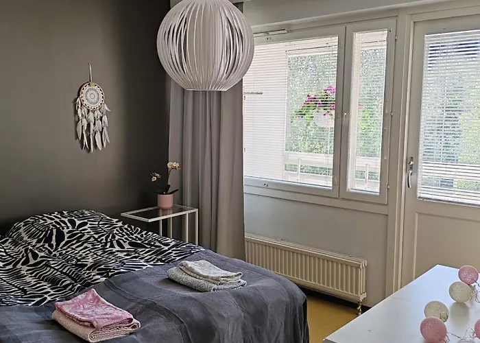 Kotoisa Kaksio Maennistoessae *