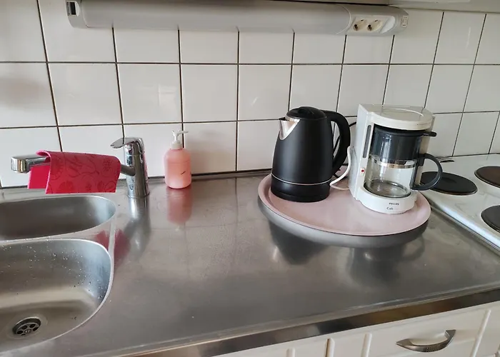 Kotoisa Kaksio Maennistoessae * Κουόπιο