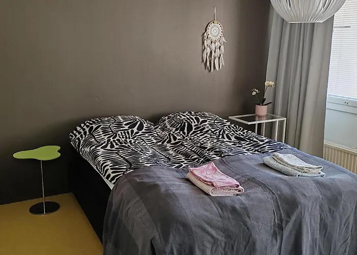 Kotoisa Kaksio Maennistoessae