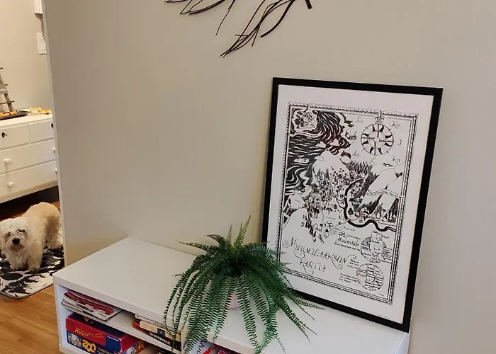 Kotoisa Kaksio Maennistoessae *