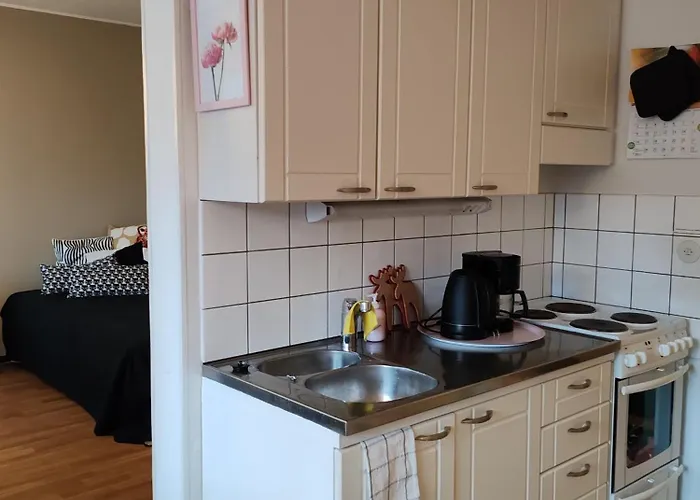 Kotoisa Kaksio Maennistoessae Κουόπιο