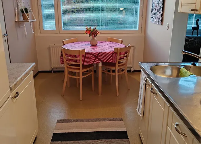 Kotoisa Kaksio Maennistoessae Κουόπιο